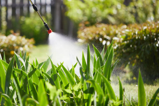 24/7 Emergency Wasp Removal experts in Burns Flat, OK