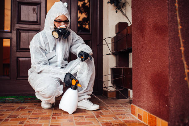 Reliable Wasp Removal contractor in Burns Flat, OK by Show Me Pest Control