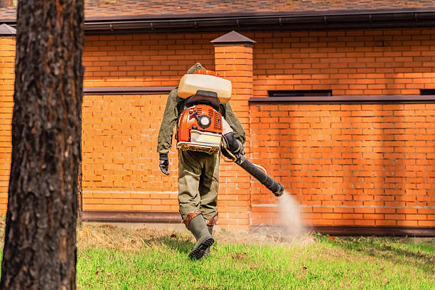 Top rated local Wasp Removal specialists in Burns Flat, OK